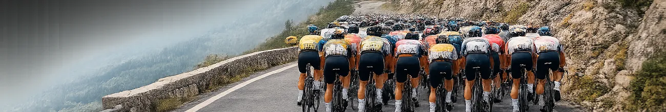 Professional road cyclists riding towards the camera on a mountain road